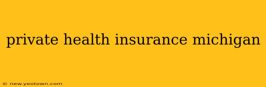 private health insurance michigan