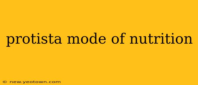 protista mode of nutrition