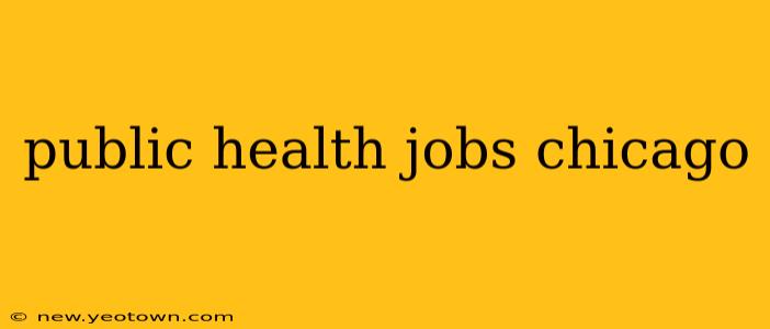 public health jobs chicago