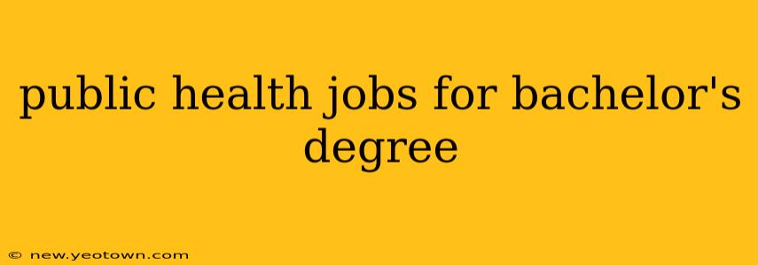 public health jobs for bachelor's degree