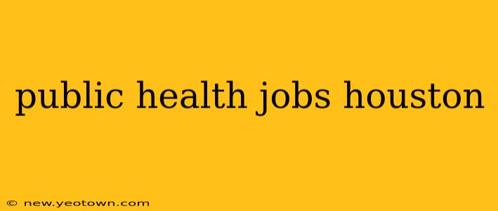 public health jobs houston