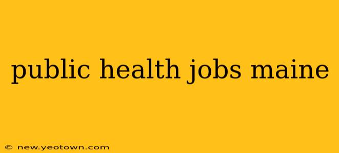public health jobs maine