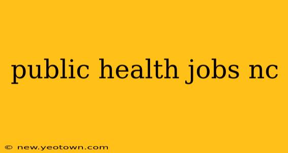 public health jobs nc
