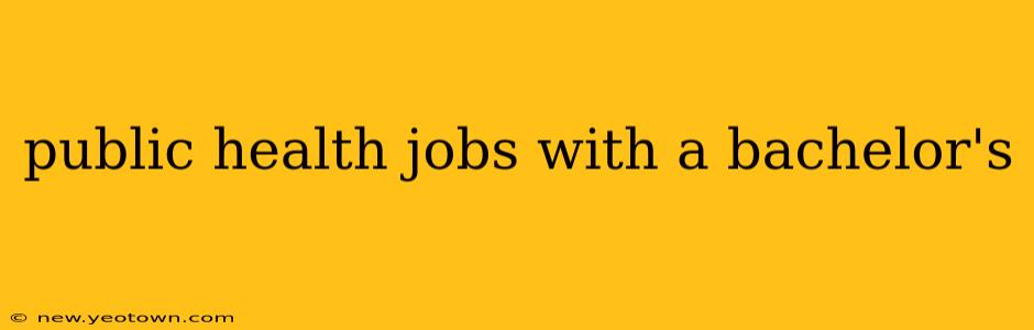 public health jobs with a bachelor's