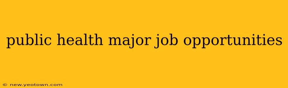 public health major job opportunities