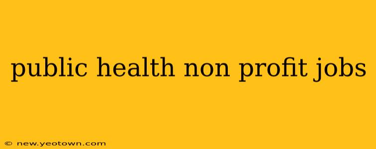 public health non profit jobs