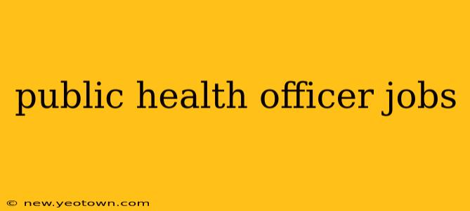 public health officer jobs