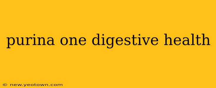 purina one digestive health
