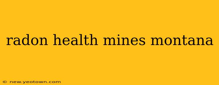 radon health mines montana