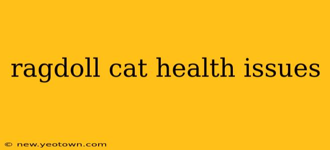 ragdoll cat health issues