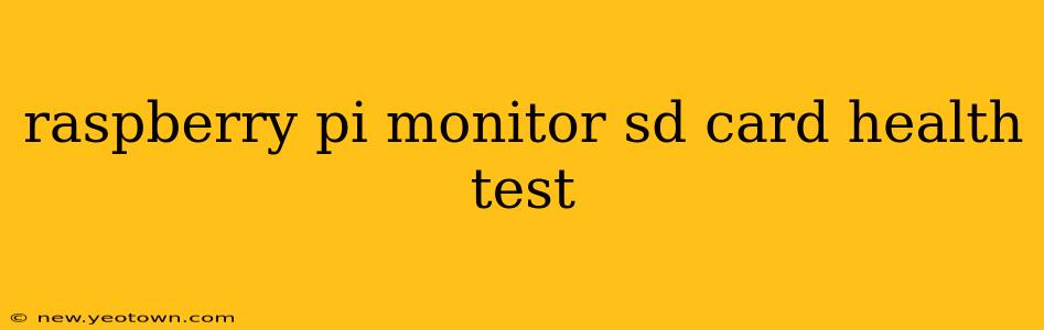 raspberry pi monitor sd card health test