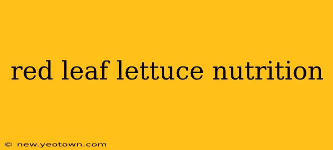 red leaf lettuce nutrition