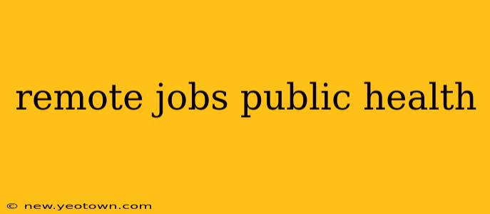 remote jobs public health
