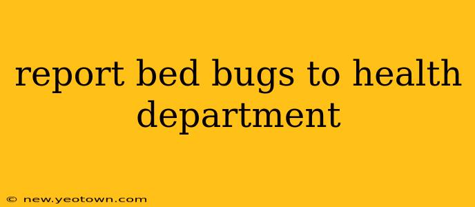 report bed bugs to health department