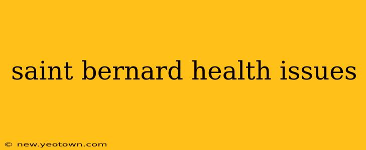 saint bernard health issues