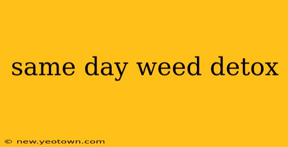 same day weed detox