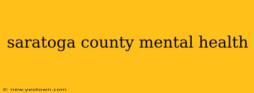 saratoga county mental health