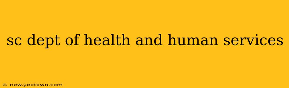 sc dept of health and human services