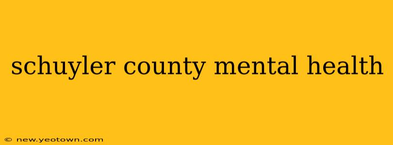 schuyler county mental health