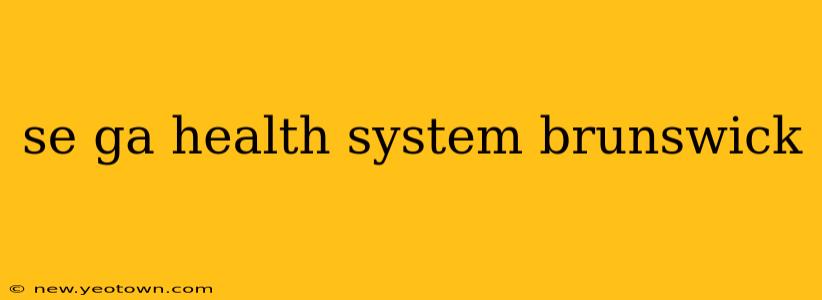 se ga health system brunswick