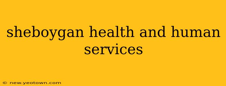 sheboygan health and human services