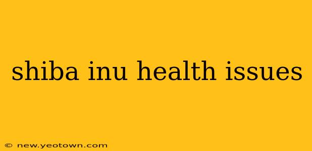 shiba inu health issues