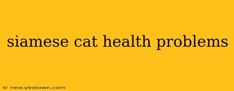 siamese cat health problems