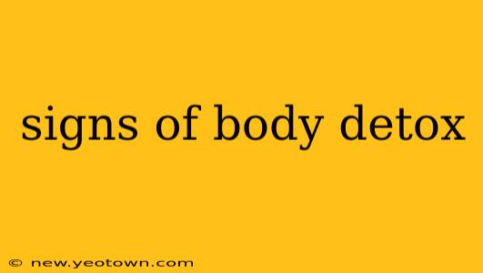 signs of body detox