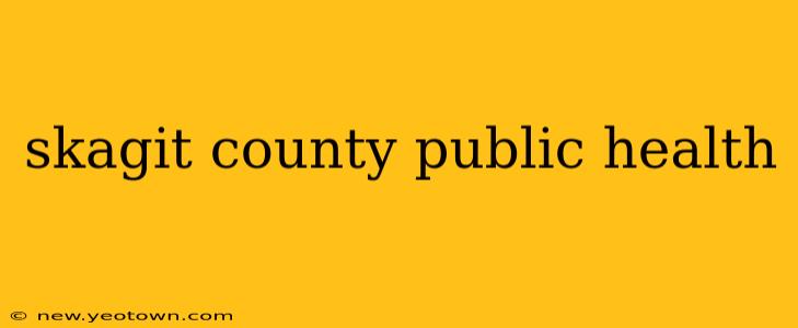 skagit county public health