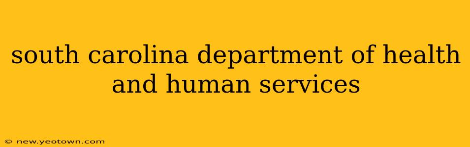 south carolina department of health and human services