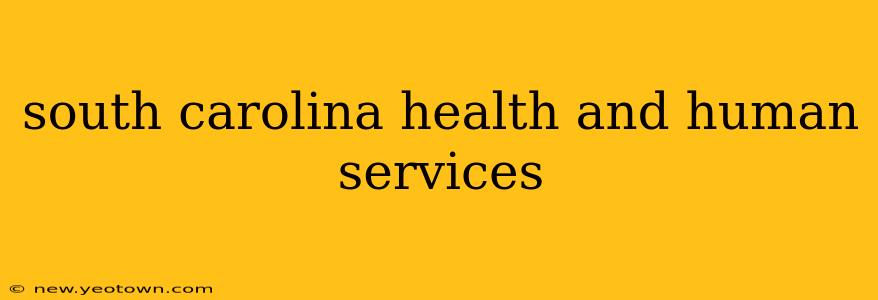 south carolina health and human services