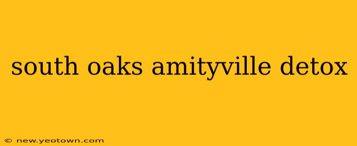 south oaks amityville detox