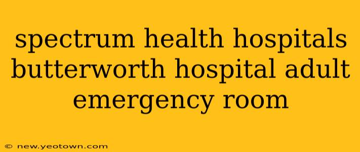 spectrum health hospitals butterworth hospital adult emergency room