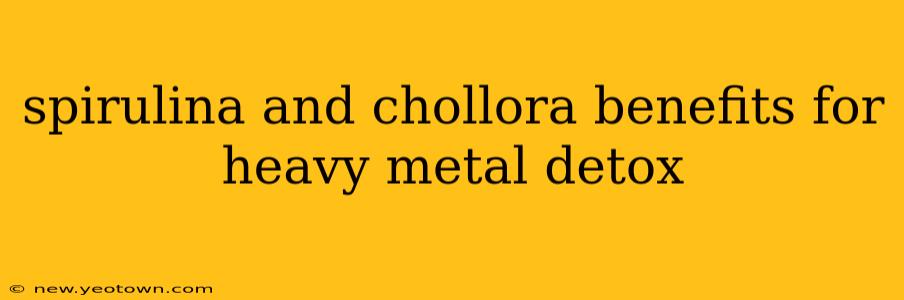 spirulina and chollora benefits for heavy metal detox