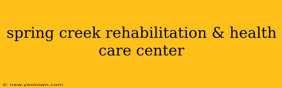 spring creek rehabilitation & health care center