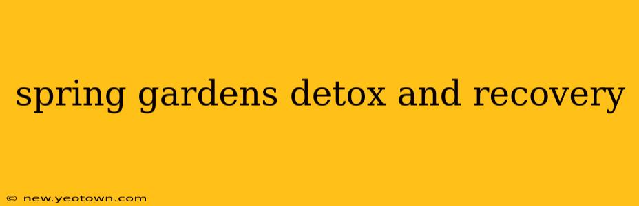 spring gardens detox and recovery