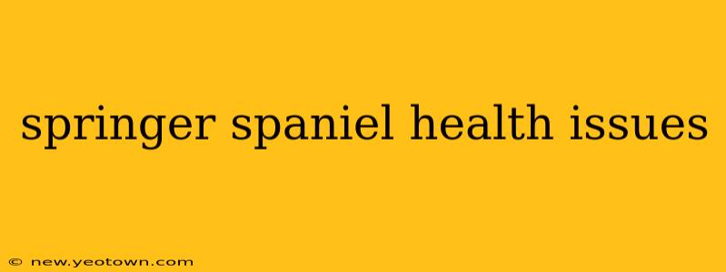springer spaniel health issues