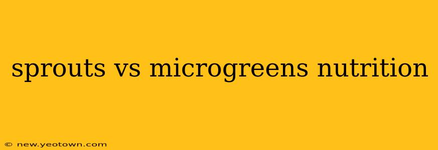 sprouts vs microgreens nutrition
