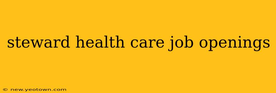steward health care job openings
