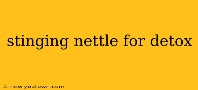stinging nettle for detox