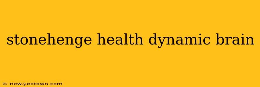 stonehenge health dynamic brain