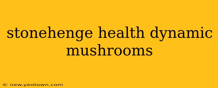 stonehenge health dynamic mushrooms