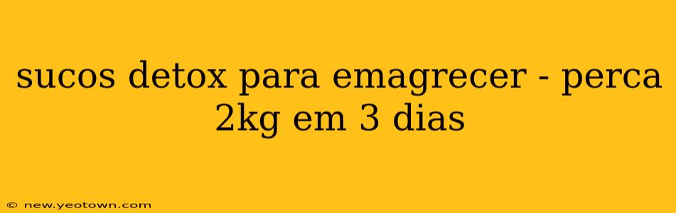 sucos detox para emagrecer - perca 2kg em 3 dias
