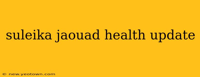 suleika jaouad health update