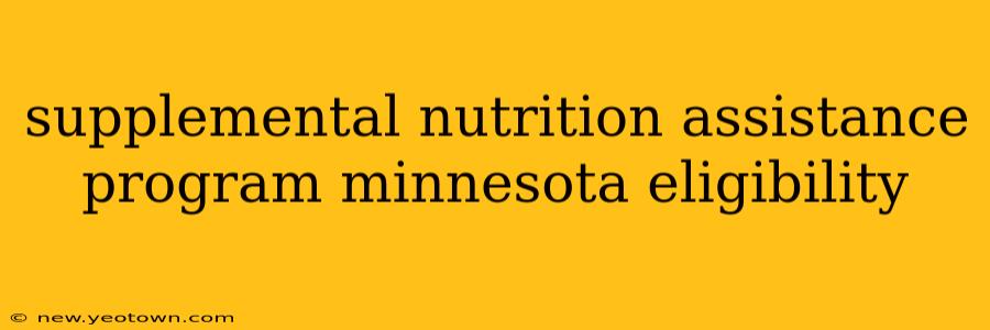 supplemental nutrition assistance program minnesota eligibility