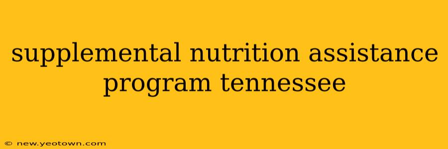 supplemental nutrition assistance program tennessee