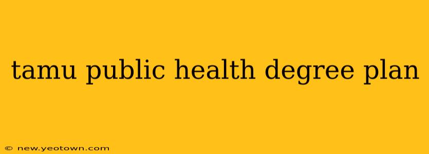 tamu public health degree plan
