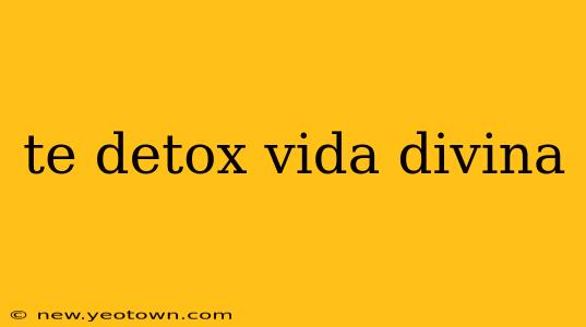 te detox vida divina
