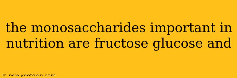 the monosaccharides important in nutrition are fructose glucose and