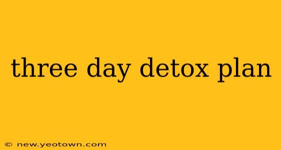 three day detox plan